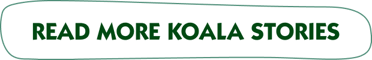 Read More Koala Stories Read More Koala Stories