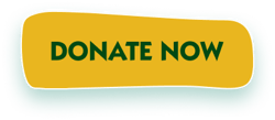 Donate Now Donate Now