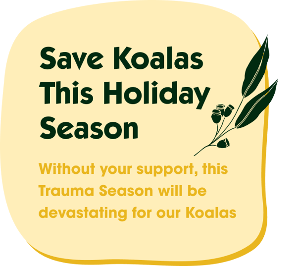 Save Koalas This Holiday Season. Without your support, this Trauma Season will be devastating for our Koalas Save Koalas This Holiday Season. Without your support, this Trauma Season will be devastating for our Koalas