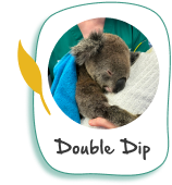 Donote to Double Dip
