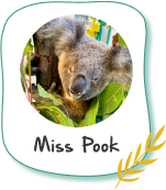 Donate to Miss Pook
