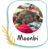 Donate to Moonbii