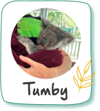 Donate to Tumby