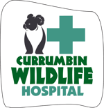 CWH Logo - Green - Lock Up