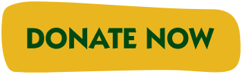 Header Donate Now