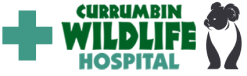 CWH Logo - Horizontal Lock Up