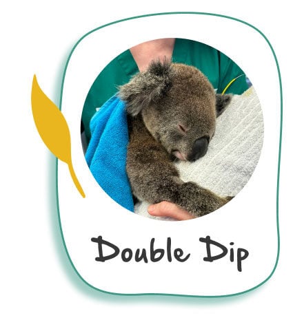 Donate to Double Dip Donate to Double Dip