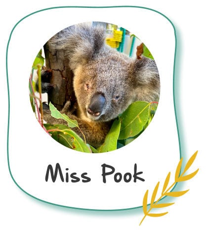 Donate to Miss Pook Donate to Miss Pook