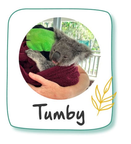 Donate to Tumby Donate to Tumby